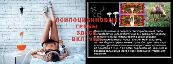 ALPHA PVP Алексин