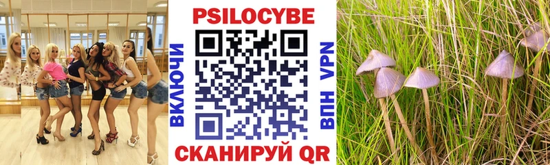 как найти закладки MEGA маркетплейс Псилоцибиновые грибы ЛСД Кропоткин